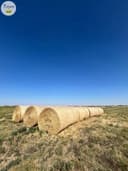 Photo of Hay For Sale