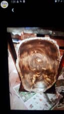 Photo of Unique 1 of a kind ent tables/ night stands