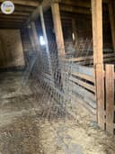 Photo of Cattle / Hog Panel and Concrete Wire Mesh