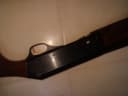 Photo of 12 gauge magnum