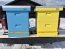 Photo of Polystyrene bee hives