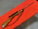 Photo of Springfield 85 semi-auto rifle in .22
