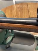 Photo of Stevens 334 (Savage)