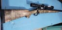 Photo of 223 Rem - Savage Model 10 Predator Max 1