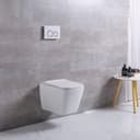 Photo of Toilet, Wall mounted, consealed