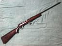 Photo of Stevens 85 "Gill Gun" "Click-Clak"